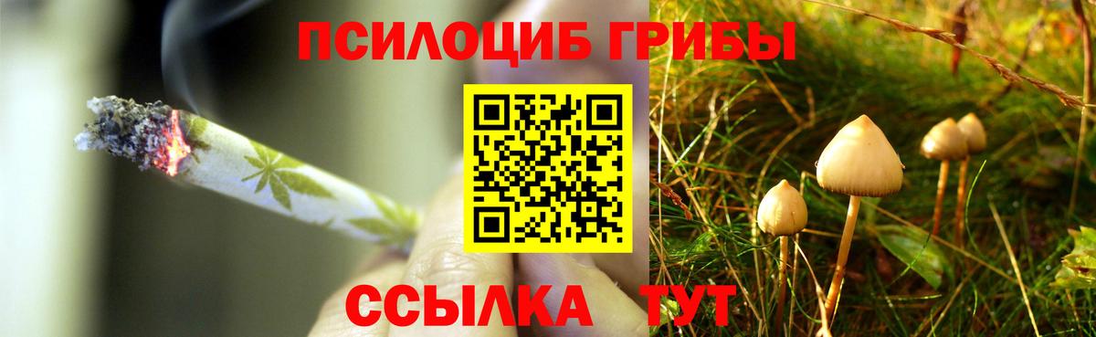 Ярцево  Галлюциногенные грибы прущие грибы  Вход с VPN 